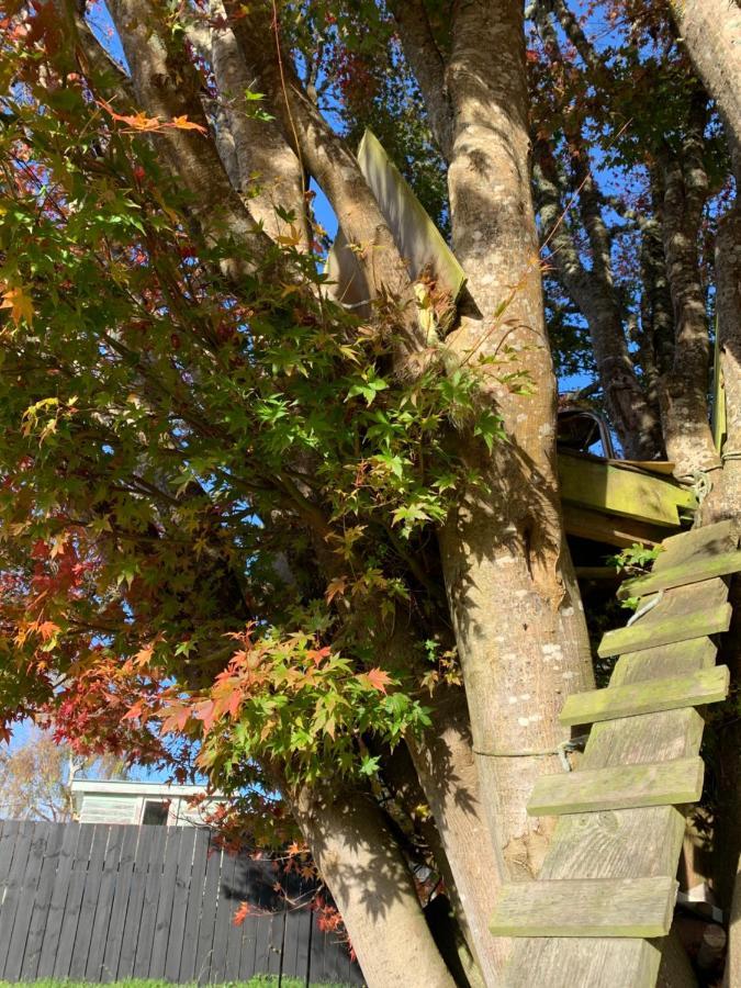 Moore St Cottage โอฮาคูเน ภายนอก รูปภาพ